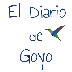 El Diario de Goyo